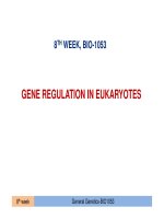 Week 8  gene regulation in eukaryotes
