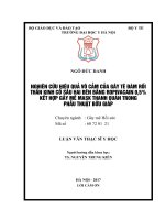Nghiên cứu hiệu quả vô cảm của gây tê đám rối thần kinh cổ sâu hai bên bằng ropivacain 0,5% kết hợp gây mê mask thanh quản trong phẫu thuật bướu giáp 