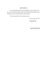 Ảnh hưởng của thăng giáng nhiệt lên độ từ hoá của vật liệu siêu dẫn nhiệt độ cao 