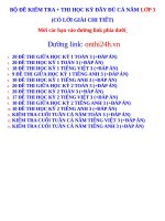 BO DE THI HOC KY LOP 3 CA NAM