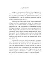 Đánh giá kết quả lâu dài hạ nhãn áp và tình trạng bọng thấm sau phẫu thuật điều trị glôcôm góc mở 