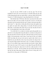 Nghiên cứu đặc điểm mô bệnh học và sự bộc lộ dấu ấn miễn dịch HER2 trong ung thư biểu mô dạ dày 