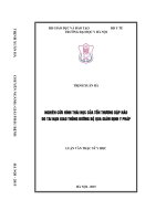 Nghiên cứu hình thái học của tổn thương dập não do tai nạn giao thông đường bộ qua giám định y pháp