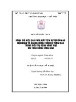 Đánh giá hiệu quả phối hợp tiêm bevacizumab nội nhãn và quang đông toàn bộ võng mạc trong điều trị bệnh võng mạc đái tháo đường tăng sinh 