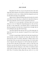 Giá trị của phim panorama và phim CT cone beam trong phẫu thuật lấy bỏ răng khôn hàm dưới