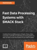 fast data processing systems with smack stack 