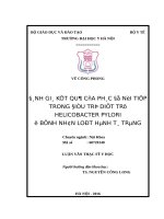 Đánh giá kết quả của phác đồ nối tiếp trong điều trị diệt trừ helicobacter pylori ở bệnh nhân loét hành tá tràng