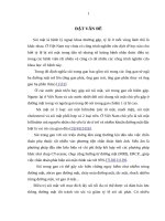 Đánh giá kết quả phẫu thuật lấy sỏi kết hợp với nội soi tán sỏi trong điều trị sỏi trong gan ở người cao tuổi 