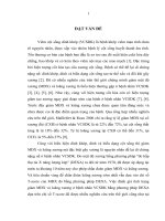 Khảo sát chỉ số z score của mật độ xương ở bệnh nhân nam viêm cột sống dính khớp 