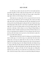 Nghiên cứu hình thái lâm sàng và thính lực trên bệnh nhân khoét chũm tiệt căn