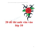 20 de luyen thi vao 10  toán