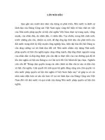 Tiểu luận vấn đề Đảng cầm quyền