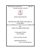 Nghiên cứu đặc điểm lâm sàng và hình ảnh siêu âm điểm bám gân chi dưới ở bệnh nhân viêm cột sống dính khớp