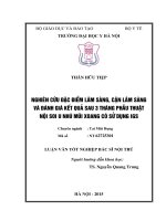 Nghiên cứu đặc điểm lâm sàng, cận lâm sàng và đánh giá kết quả sau 3 tháng phẫu thuật nội soi u nhú mũi xoang có sử dụng IGS 