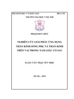 NGHIÊN cứu GIẢI PHẪU ỨNG DỤNG THẦN KINH SỐNG PHỤ và THẦN KINH TRÊN VAI TRONG TAM GIÁC cổ SAU 