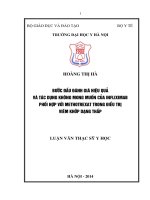 Bước đầu đánh giá hiệu quả và tác dụng không mong muốn của infliximab phối hợp với methotrexat trong điều trị viêm khớp dạng thấp 