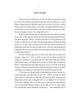 Nghiên cứu kết quả của hydroxychloroquin trong điều trị thoái hóa khớp gối nguyên phát 