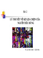 LÝ THUYẾT VỀ SỰ LỰA CHỌN CỦA NGƯỜI TIÊU DÙNG