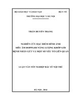 Nghiên cứu đặc điểm hình ảnh siêu âm doppler năng lượng khớp gối bệnh nhân gút và một số yếu tố liên quan 