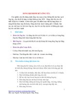 Dung dịch bơm rửa nội nha