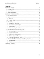 tìm hiểu về cơ sở hạ tầng của vận tải hàng hóa hàng không