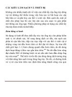 Các kiểu làm sạch và sửa soạn ống tủy