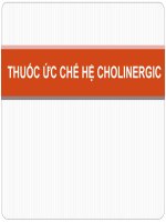 Thuốc ức chế hệ cholinergic