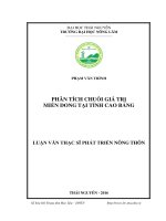 Phân tích chuỗi giá trị miến dong tại tỉnh cao bằng 