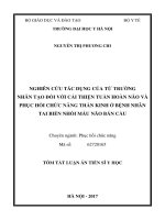 Nghiên cứu tác dụng của từ trường nhân tạo đối với cải thiện tuần hoàn não và phục hồi chức năng thần kinh ở bệnh nhân tai biến nhồi máu não bán cầu  tt 