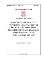 Nghiên cứu tác dụng của từ trường nhân tạo đối với cải thiện tuần hoàn não và phục hồi chức năng thần kinh ở bệnh nhân tai biến nhồi máu não bán cầu 