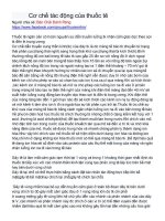 Cơ chế tác động của thuốc tê