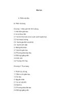 Tiểu luận hệ thống giáo dục đại học việt nam hiện nay