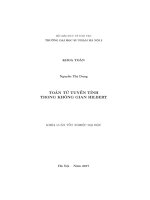 Toán tử tuyến tính trong không gian Hilbert (LV tốt nghiệp)