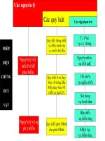 Quy luật lượng chất