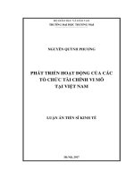 Phát triển hoạt động của các tổ chức tài chính vi mô tại Việt Nam (LA tiến sĩ)