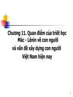 Quan điểm của triết học Mác  Lênin về con người  và vấn đề xây dựng con người  Việt Nam hiện nay