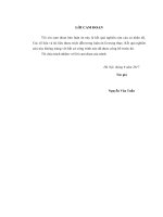 Xây dựng và sử dụng hệ thống câu hỏi đọc hiểu trong dạy học đoạn trích kiều ở lầu ngưng bích (trích truyện kiều của nguyễn du) ở THCS 