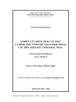 Nghiên cứu phân tích cấu trúc và hình thái tinh thể celecoxib trong các điều kiện kết tinh khác nhau 