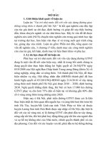 Vai trò nhà nước đối với vốn xây dựng đường giao thông nông thôn ở thành phố hà nội (tt) 