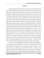 mô hình kinh tế thị trường định hướng xã hội chủ nghĩa ở việt nam. ý nghĩa và định hướng vận dụng