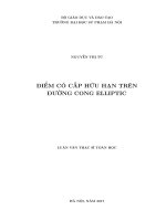 Điểm có cấp hữu hạn trên đường cong elliptic 