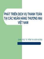 PHÁT TRIỂN DỊCH VỤ THANH TOÁN TẠI CÁC NGÂN HÀNG THƯƠNG MẠI VIỆT NAM