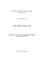 Đa thức một ẩn (LV tốt nghiệp)