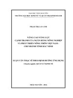 Nâng cao năng lực cạnh tranh của ngân hàng nông nghiệp và phát triển nông thôn việt nam chi nhánh tỉnh bắc ninh 