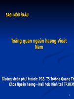 Bài giảng tổng quan ngân hàng Việt Nam
