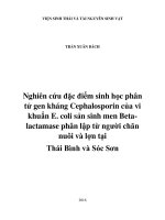 Nghiên cứu đặc điểm sinh học phân tử gen kháng cephalosporin của vi khuẩn e  coli sản sinh men betalactamase phân lập từ người chăn nuôi và lợn tại thái bình và sóc sơn 