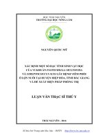 Xác định một số đặc tính sinh vật học của vi khuẩn pasteurella multocida và streptococcus suis gây bệnh viêm phổi ở lợn nuôi tại huyện hiệp hòa, tỉnh bắc giang và đề xuất biện pháp phòng trị 