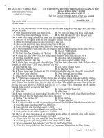 Đề thi THPT QG năm 2017 môn Lịch sử (Đề chính thức)_Mã đề 310