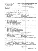 Đề thi THPT QG năm 2017 môn Lịch sử (Đề chính thức)_Mã đề 319