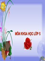 Bài giảng môn khoa học lớp 5